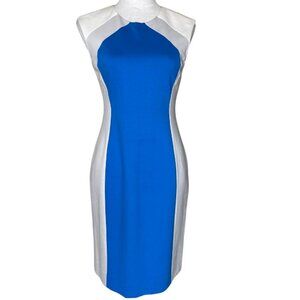 Catherine Malandrino Colorblock Bodycon Sleeveless Back Cut out Zippered Size 6
